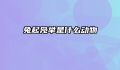 兔起凫举是什么动物