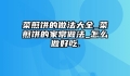 菜煎饼的做法大全_菜煎饼的家常做法_怎么做好吃.