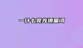 一什么亮光填量词