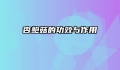 杏鲍菇的功效与作用