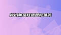冷水黄金桂鱼是桂鱼吗
