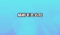 杨树毛怎么吃