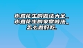 水煮花生的做法大全_水煮花生的家常做法_怎么做好吃.