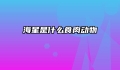 海星是什么食肉动物