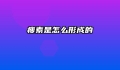 瘦素是怎么形成的
