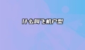 什么叫飞机户型