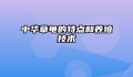 中华草龟的特点和养殖技术