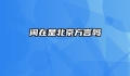 闲在是北京方言吗
