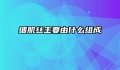 细肌丝主要由什么组成