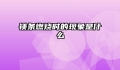 镁条燃烧时的现象是什么