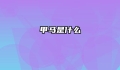 甲马是什么