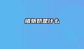 植物奶是什么