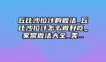 丘比沙拉汁的做法_丘比沙拉汁怎么做好吃_家常做法大全_美...