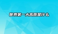 世界第一大高原是什么