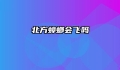 北方蟑螂会飞吗