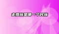走婚族是哪一个民族