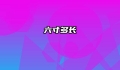六寸多长