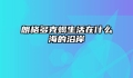 朗格多克蝎生活在什么海的沿岸