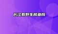 长江有野生鳄鱼吗