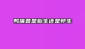 鸭嘴兽是胎生还是卵生