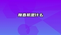 腹直肌是什么