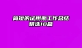 简短的试用期工作总结精选10篇