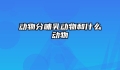 动物分哺乳动物和什么动物