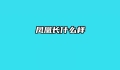 凤凰长什么样