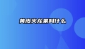 黄皮火龙果叫什么