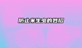 防止米生虫的妙招