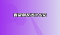 看望朋友送什么花