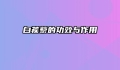 白蒺藜的功效与作用