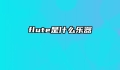 flute是什么乐器