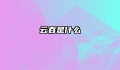 云吞是什么