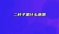 二杆子是什么意思
