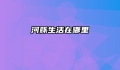 河豚生活在哪里