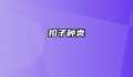 扣子种类