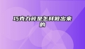 巧克力碎是怎样做出来的