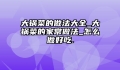 大锅菜的做法大全_大锅菜的家常做法_怎么做好吃.