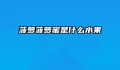 菠萝菠萝蜜是什么水果