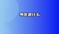 导医是什么