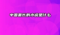 中国最长的小说是什么