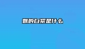 飘的白絮是什么