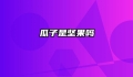 瓜子是坚果吗