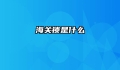海关锁是什么
