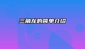 三角龙的简单介绍