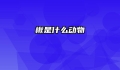 楸是什么动物