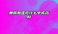 脾肾阳虚吃什么中成药好
