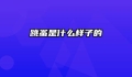 跳蚤是什么样子的