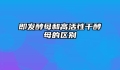 即发酵母和高活性干酵母的区别